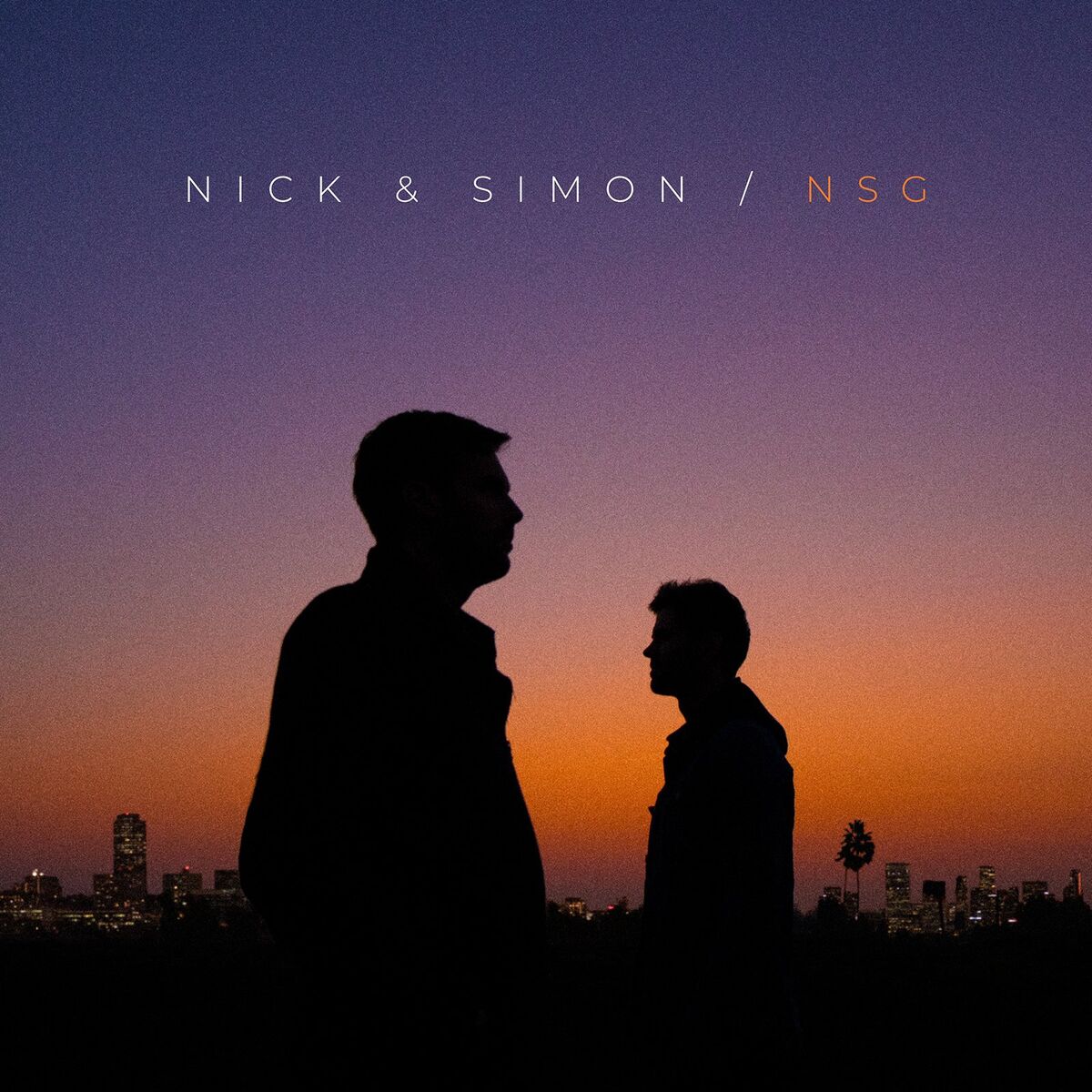 Album cover of NSG