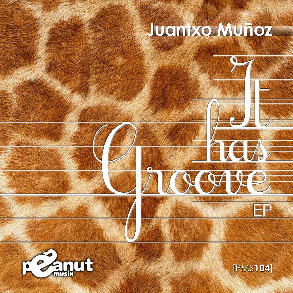 Picture of It Has Groove  E.p