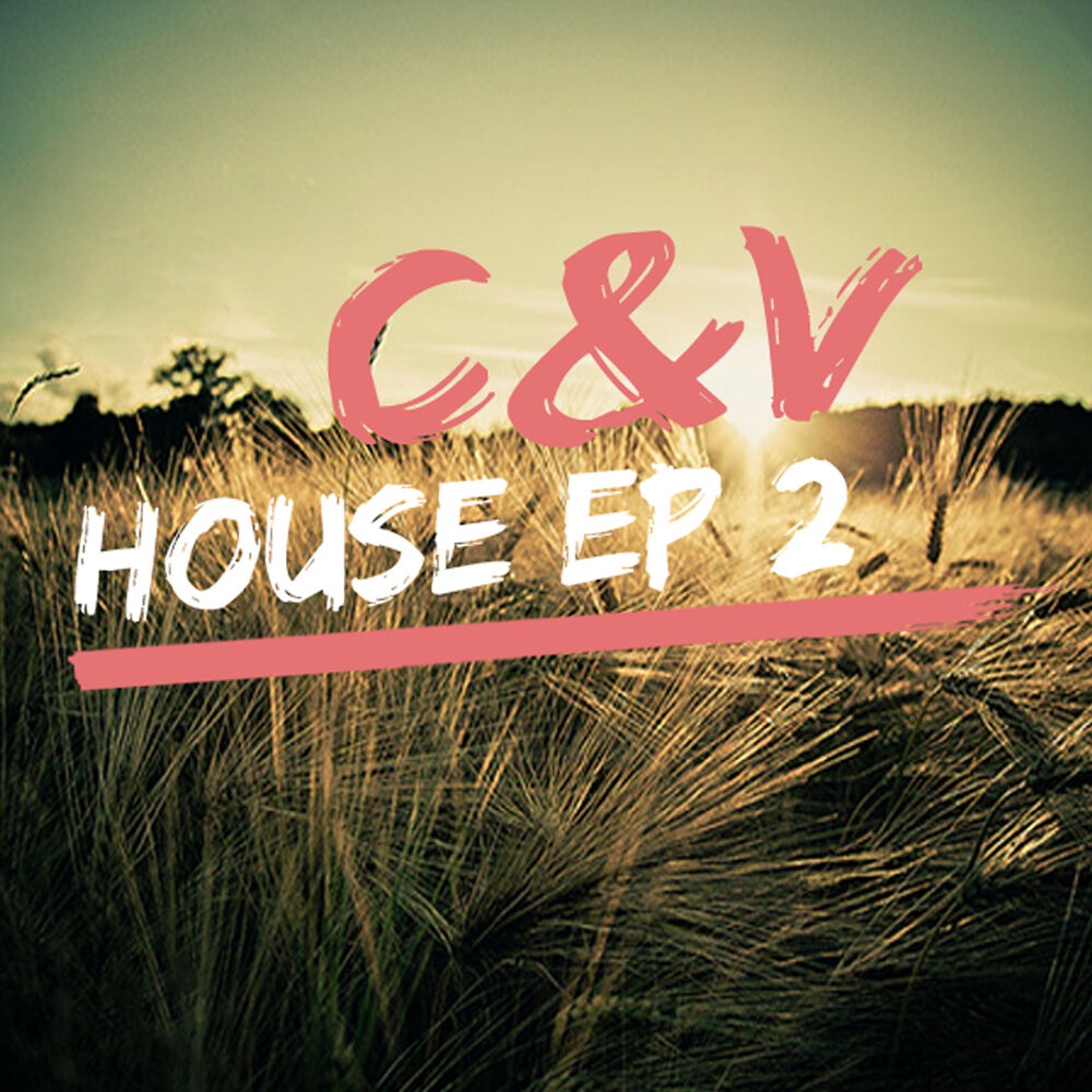 Picture of House Ep. 2