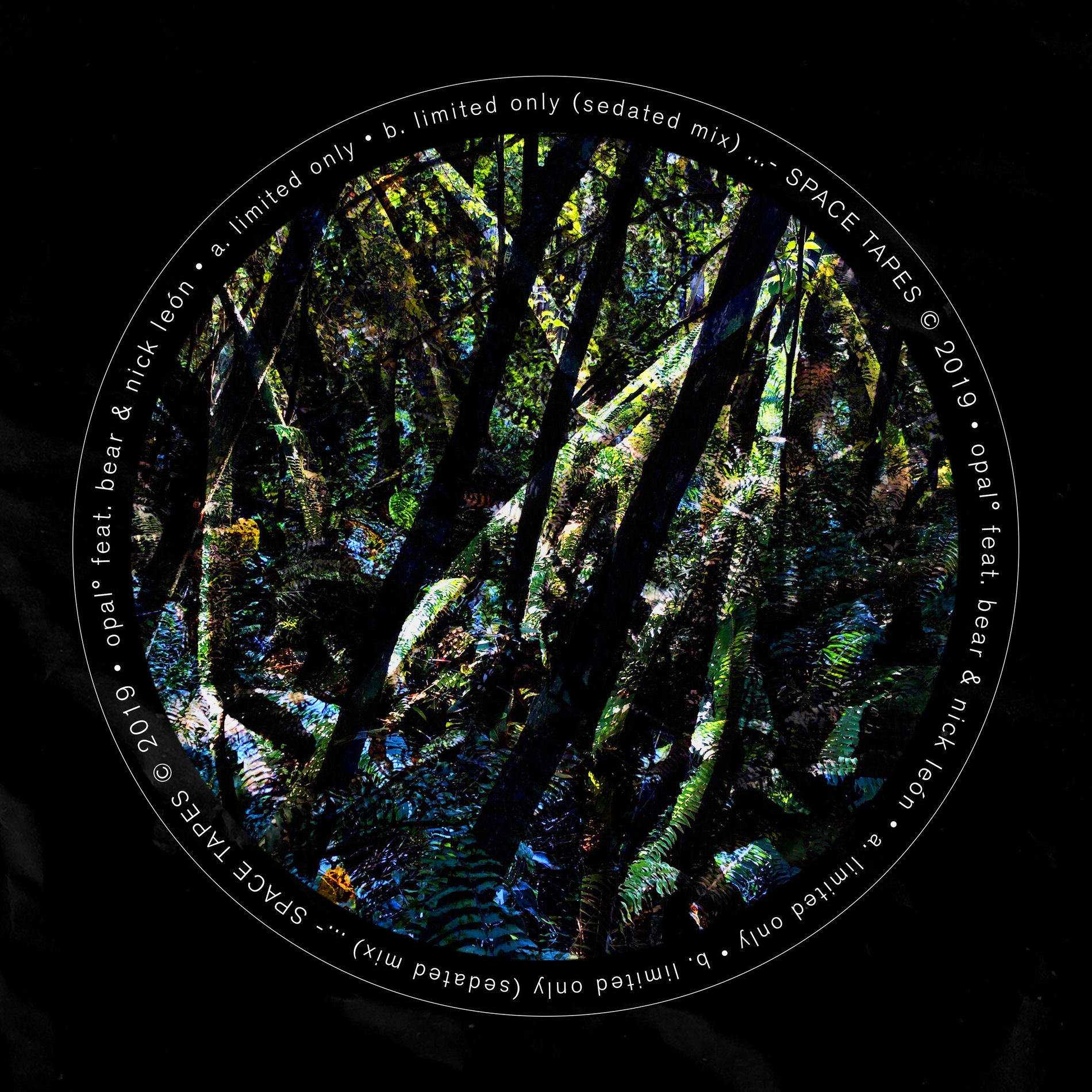 Album cover of Limited Only