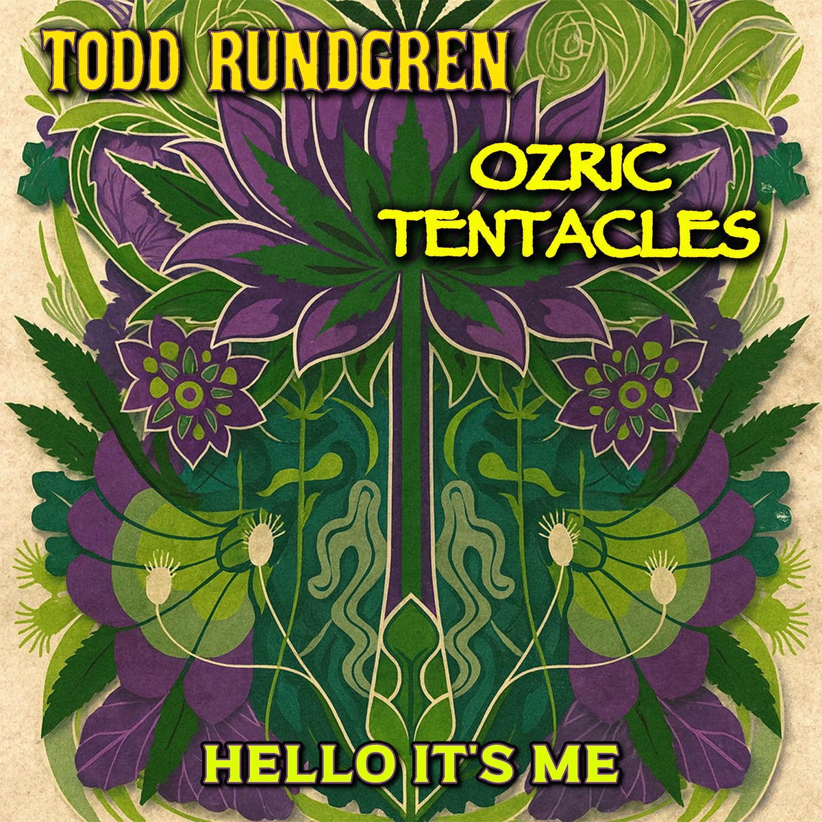 Album cover of Hello It's Me