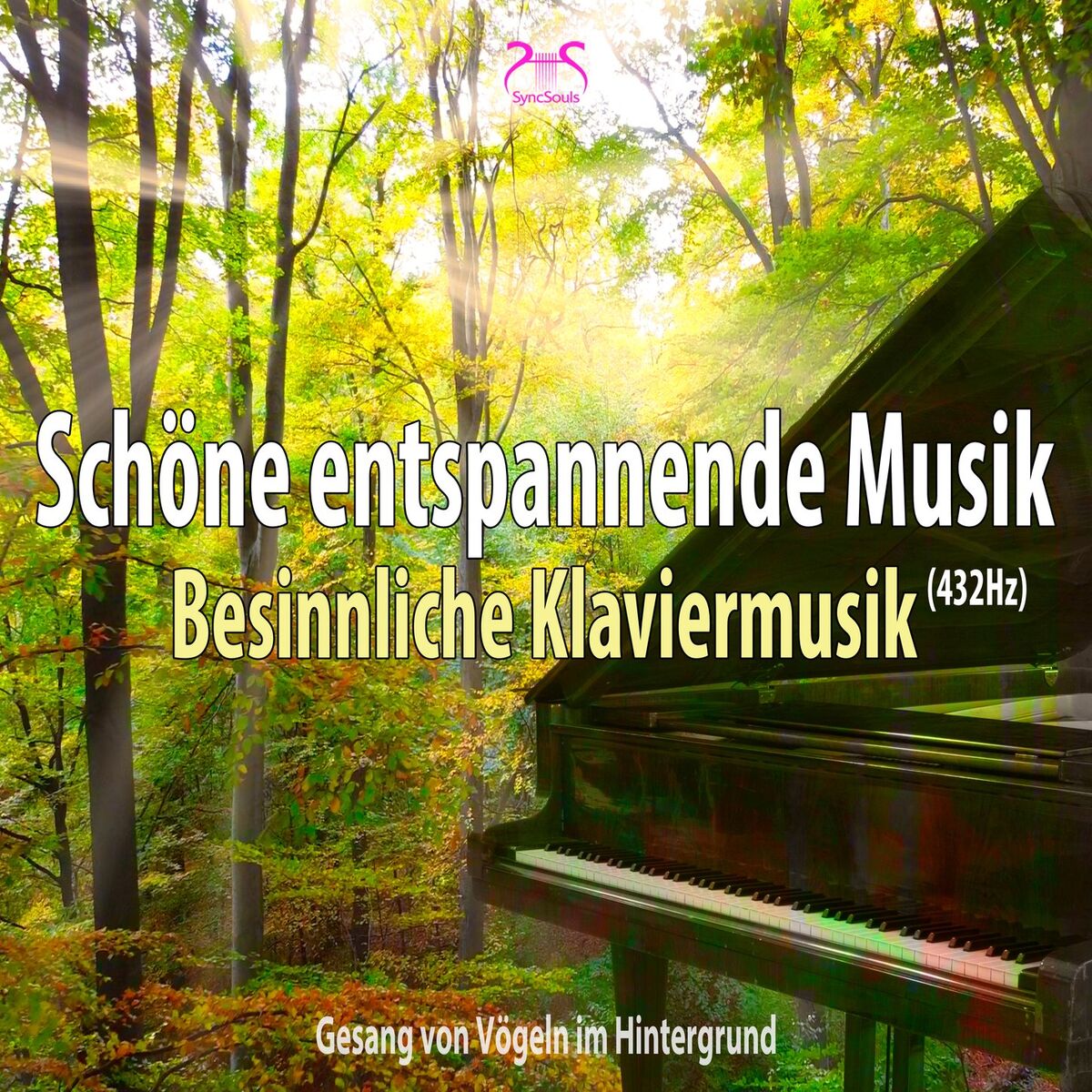Album cover of Schöne entspannende Musik (432Hz): Besinnliche Klaviermusik (Gesang von Vögeln im Hintergrund)
