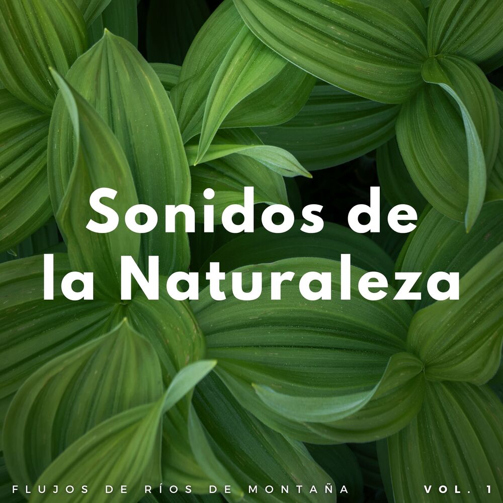 Picture of Sonidos De La Naturaleza: Flujos De Ríos De Montaña Vol. 1