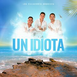 Cover of Un Idiota