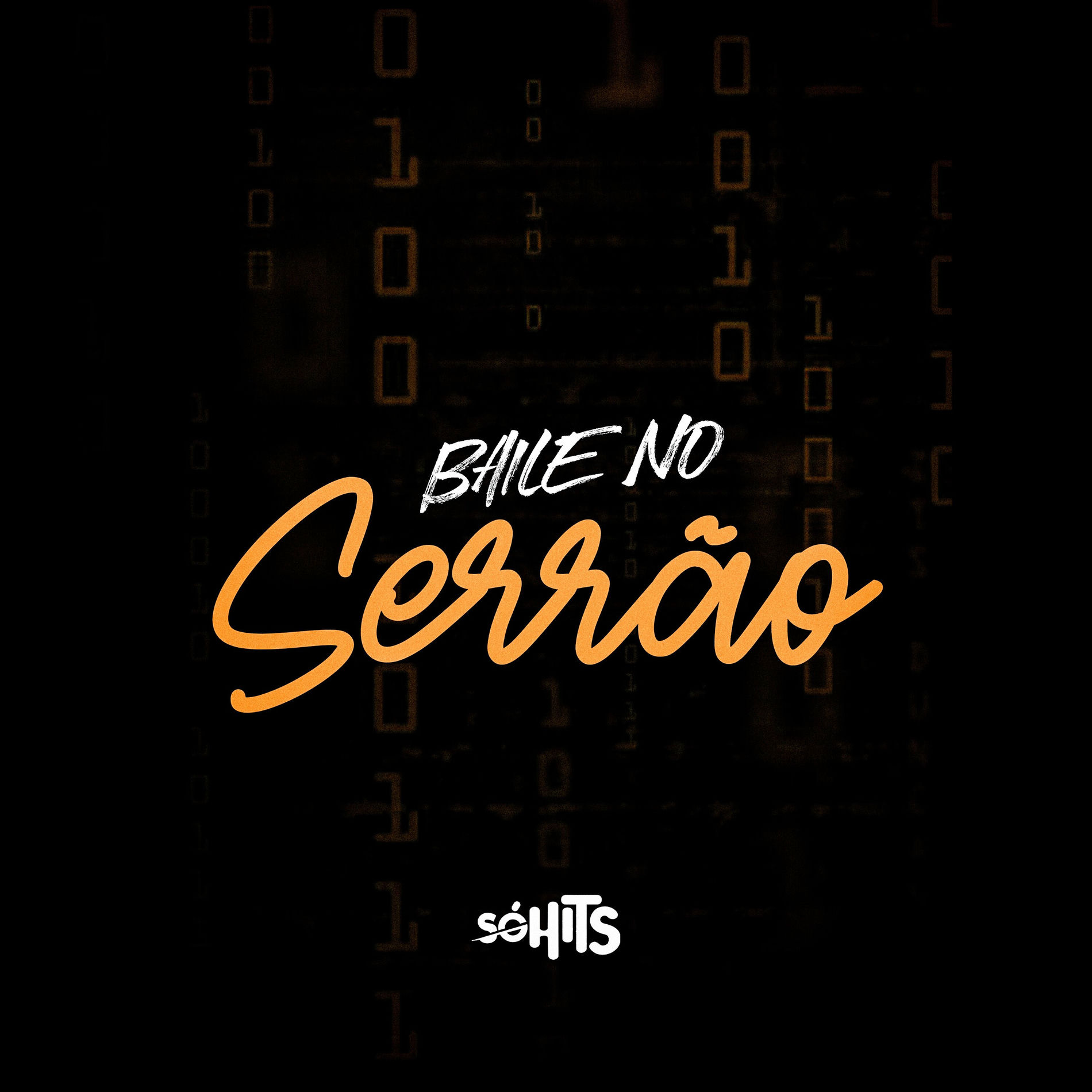 Album cover of Baile no Serrão