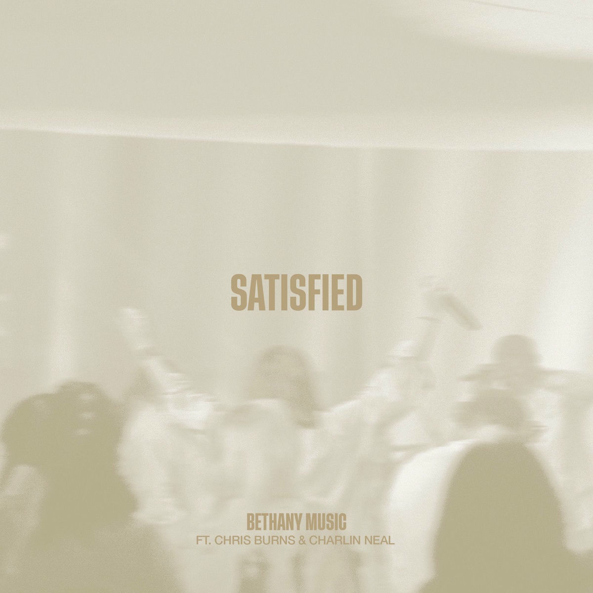 Album cover of Satisfied