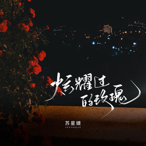 炫耀过的玫瑰