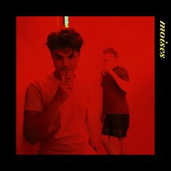 Cover of Der Junge Mois