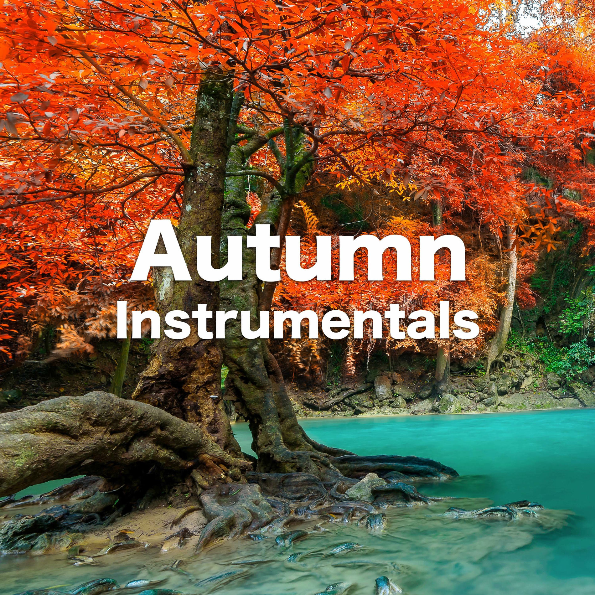 Album cover of Autumn Instrumentals - Quiet background music for reading books, Vol.1