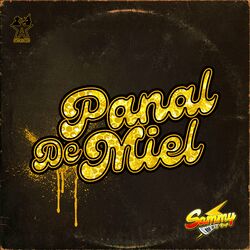 Cover of Panal de Miel