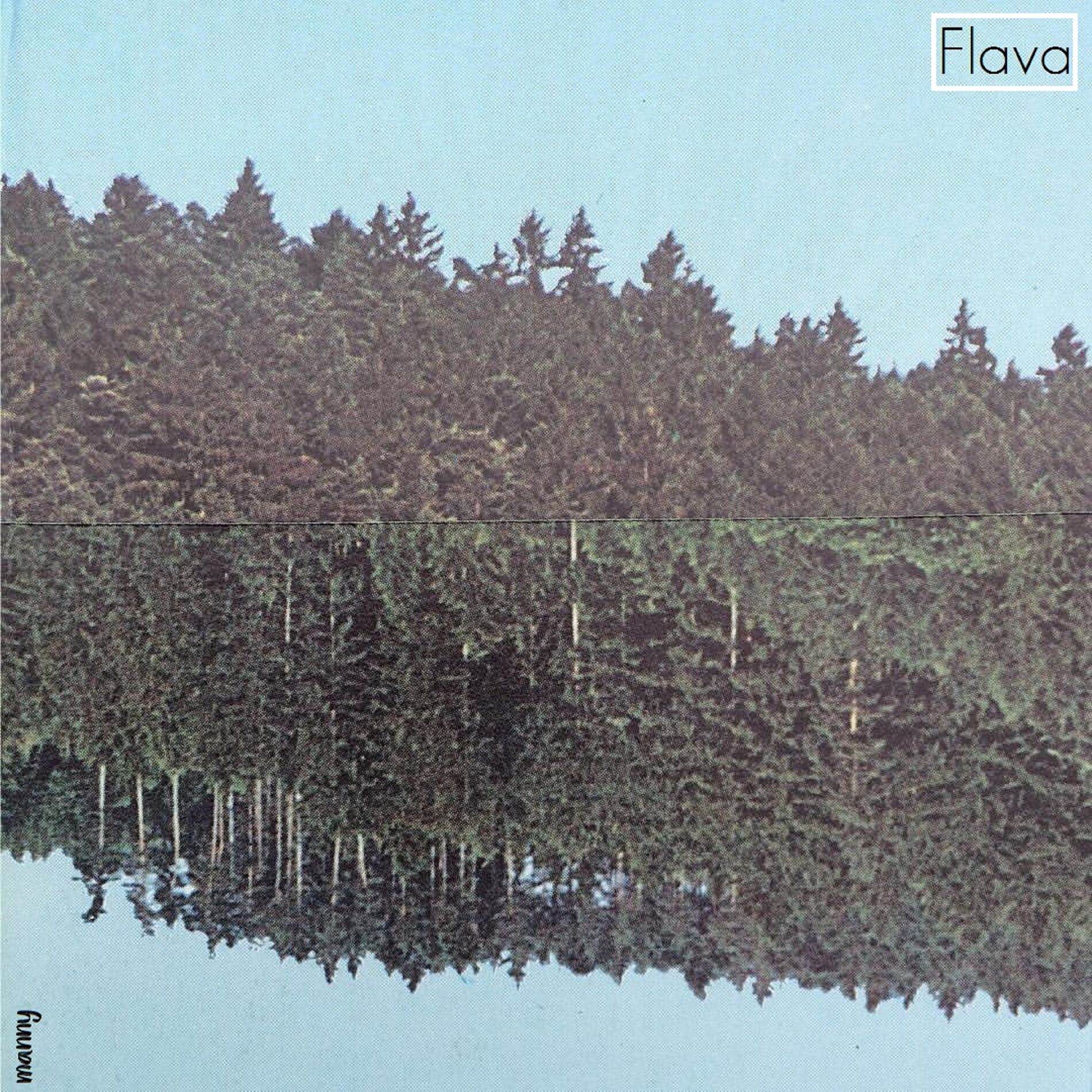 Album cover of Flava
