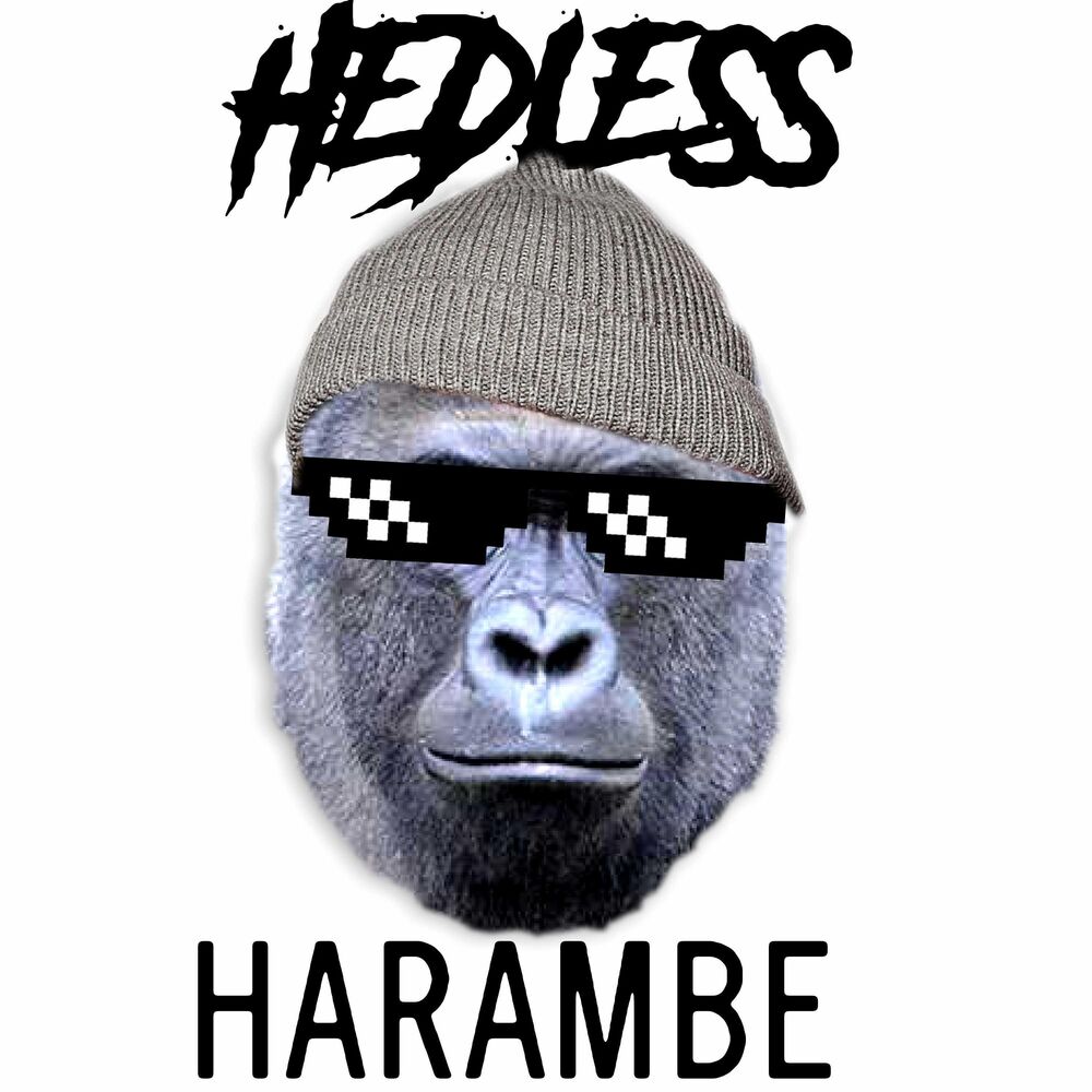 Picture of Harambe