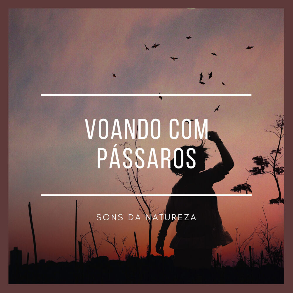Picture of Voando Com Pássaros