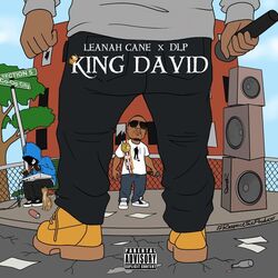 Cover of King David