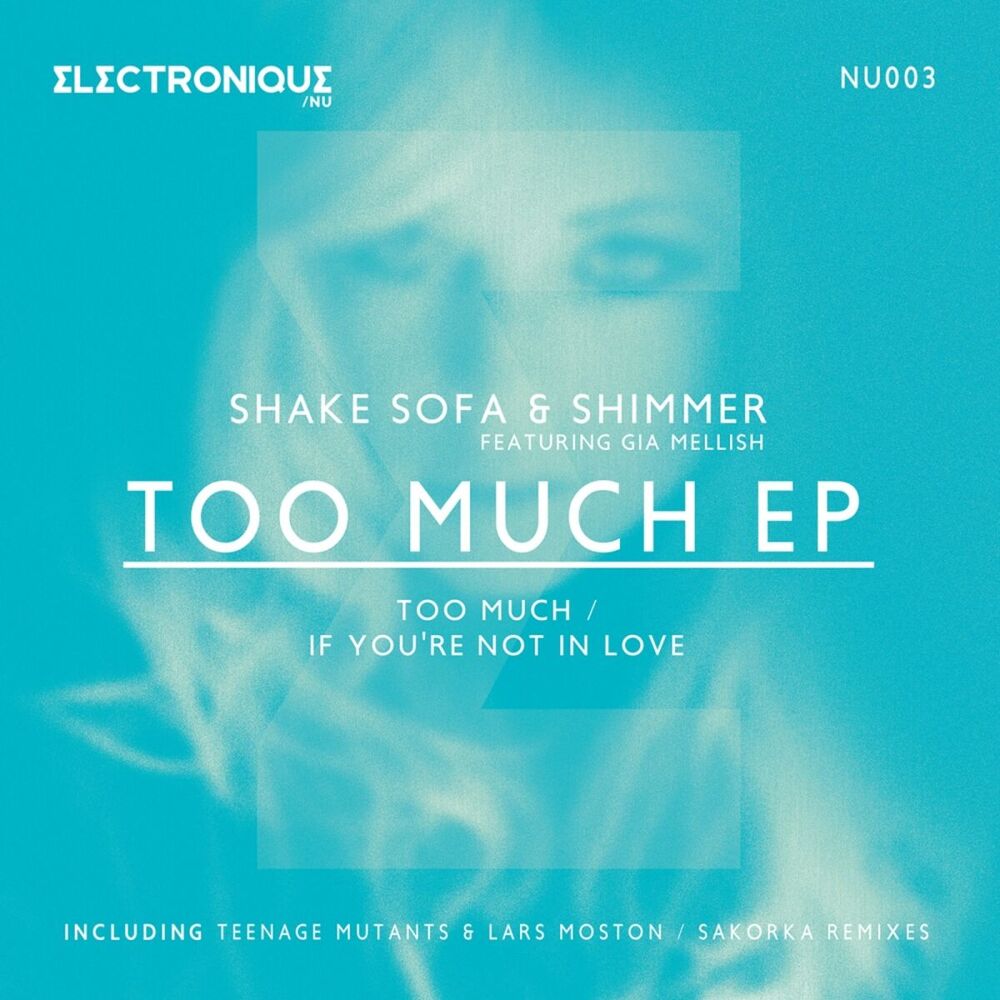 Picture of Too Much EP