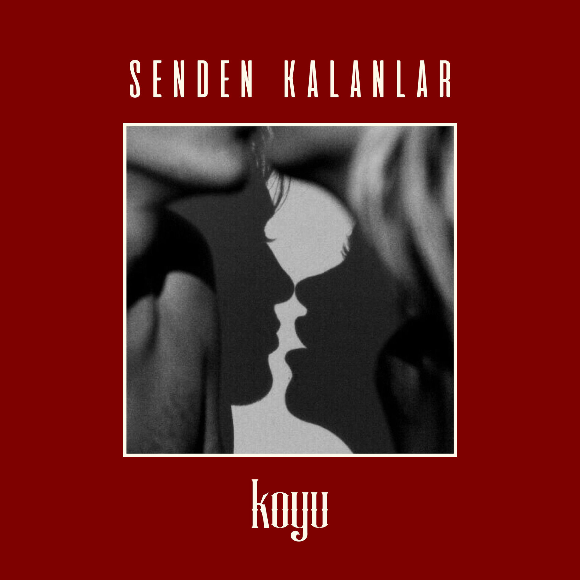 Album cover of Sert Kaya