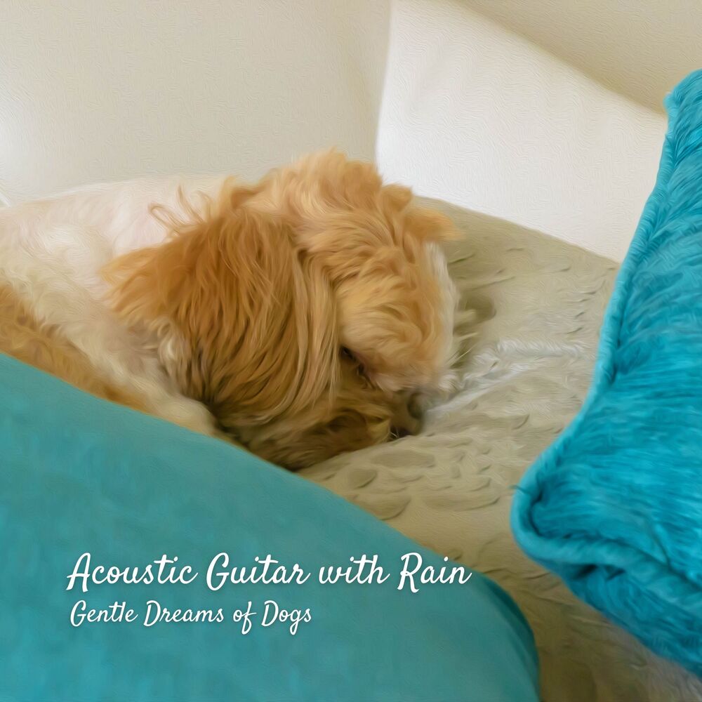 Picture of Acoustic Guitar with Rain: Gentle Dreams of Dogs