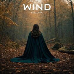 Cover of Wind