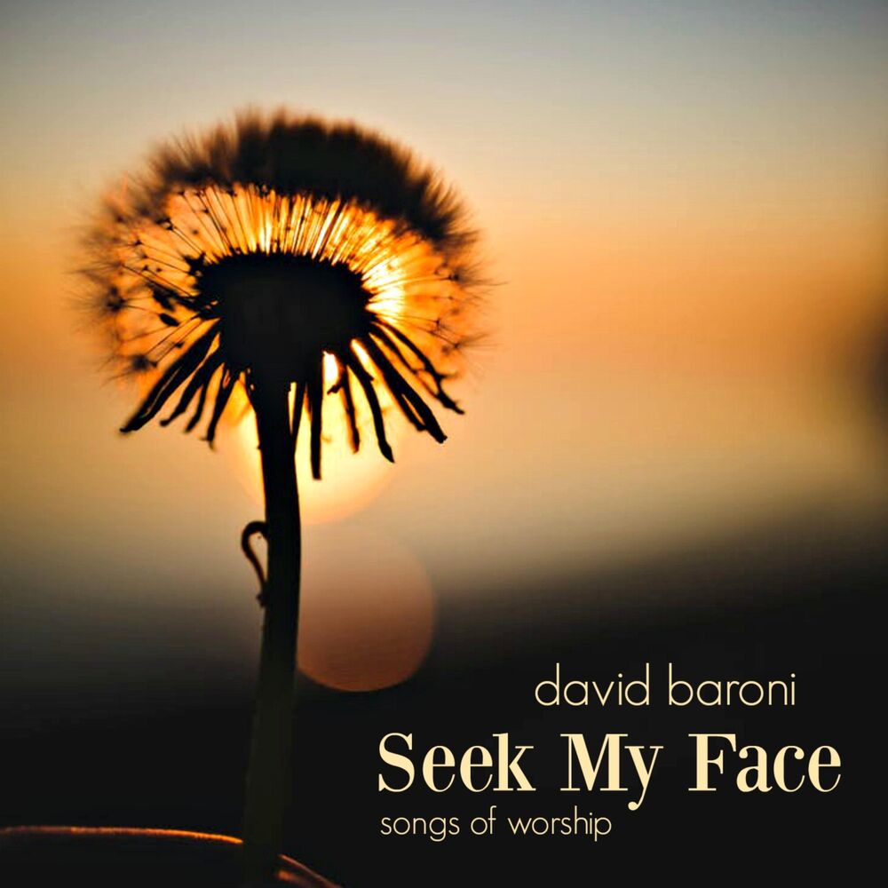 Picture of Seek My Face