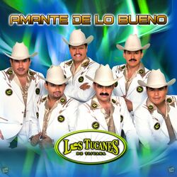 Cover of Amante De Lo Bueno