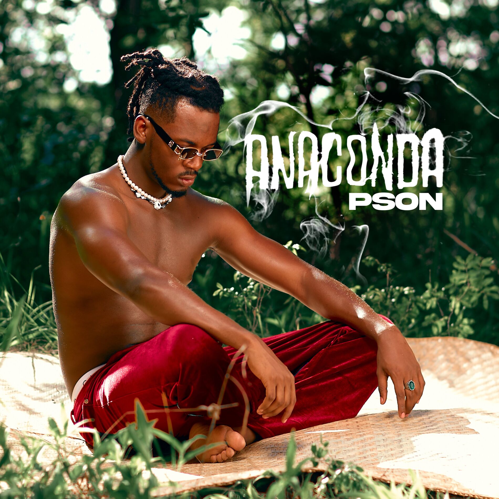 Album cover of Anaconda