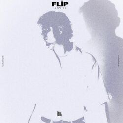 Cover of Flip That