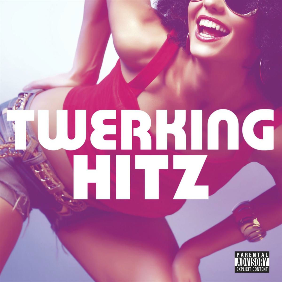 Album cover of Twerking Hitz
