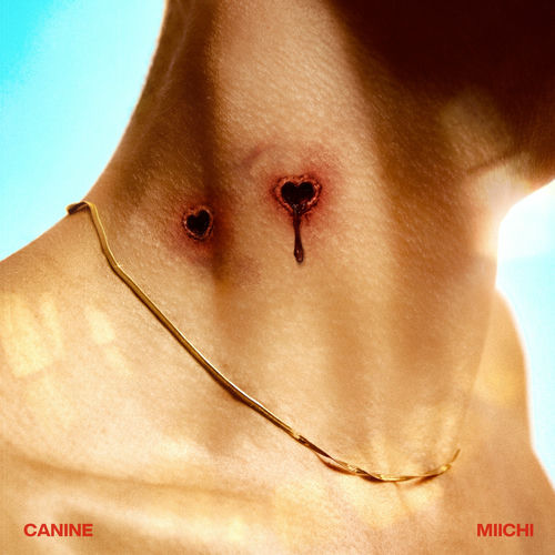 Miichi – CANINE – Single