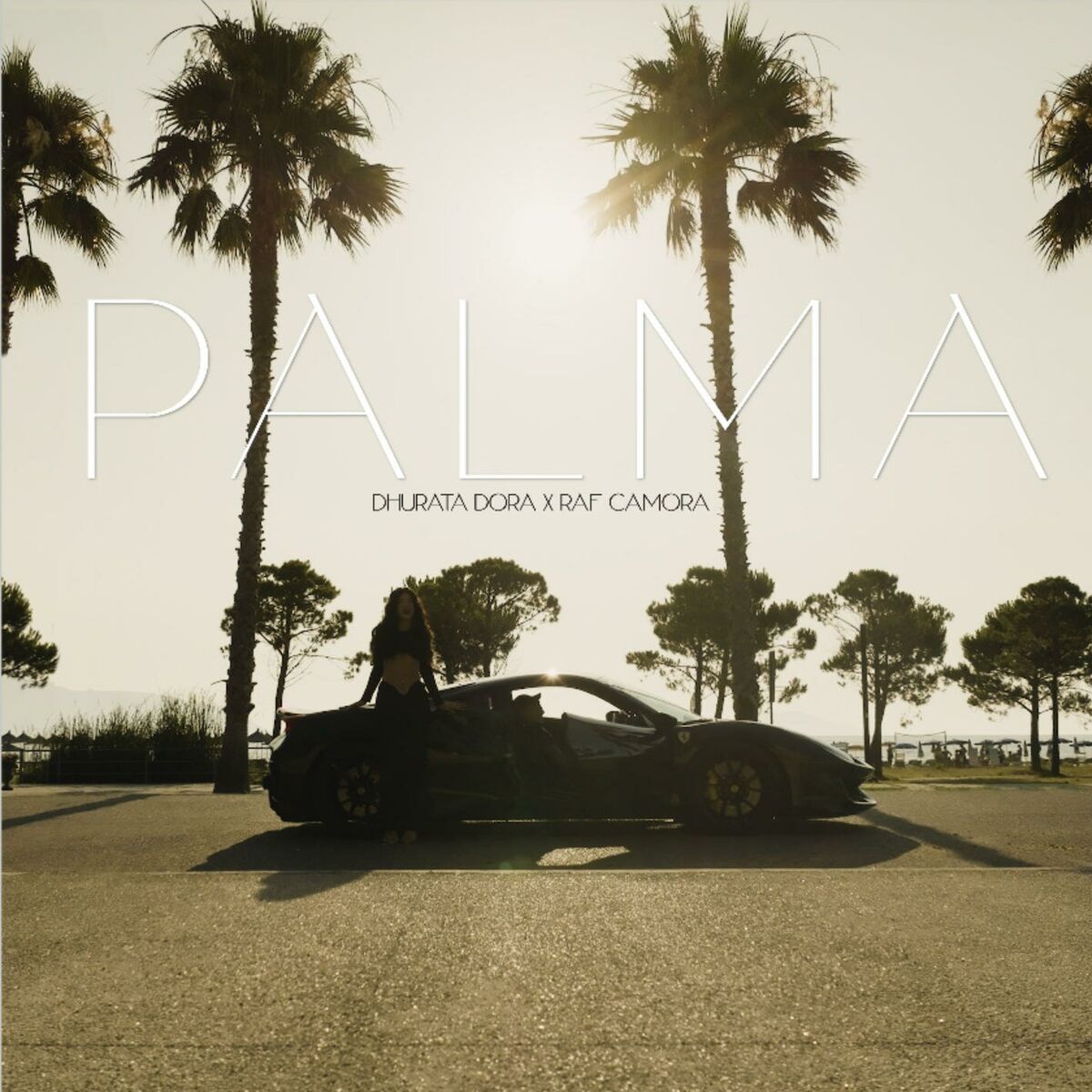 Album cover of PALMA