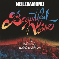 Cover of Beautiful Noise