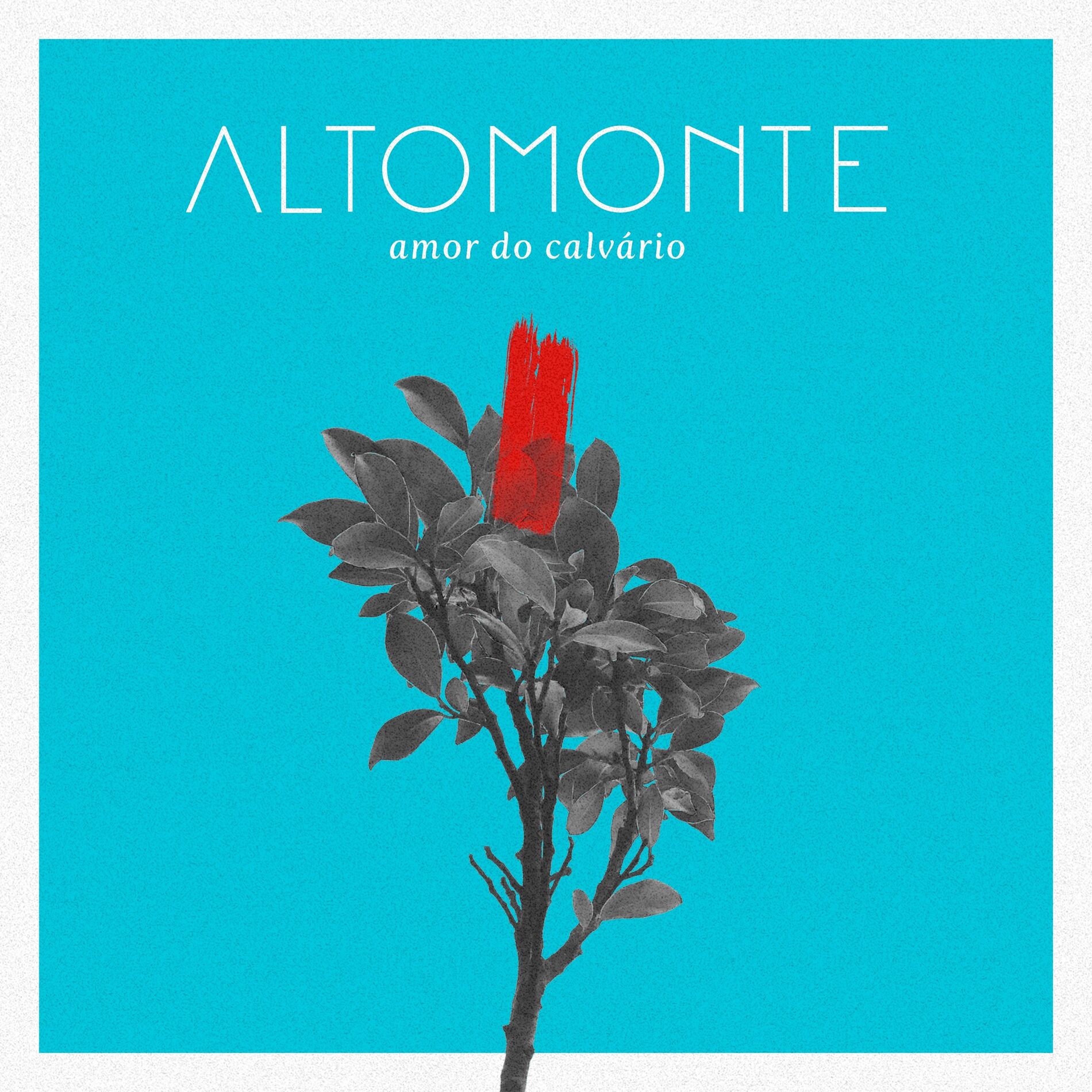 Album cover of Amor do Calvário