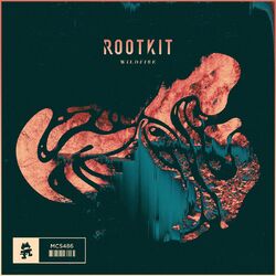 Cover of Wildfire