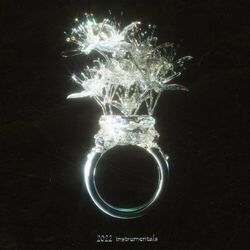 Cover of 2022 Instrumentals