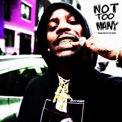 Cover of Not Too Many