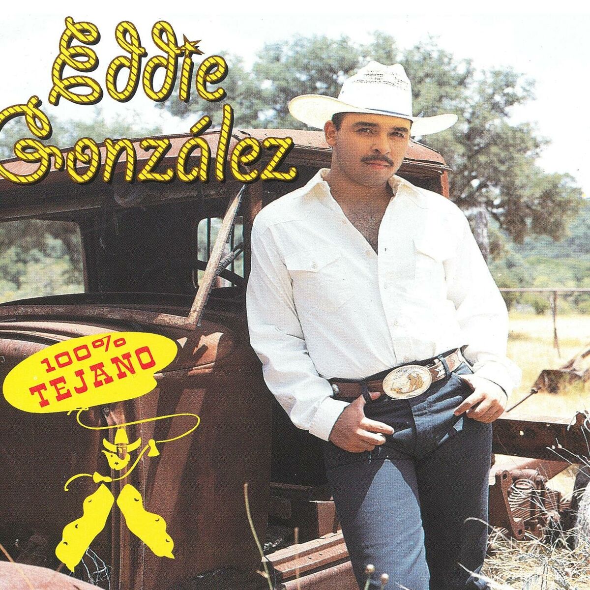 Album cover of 100% Tejano G0100014139160