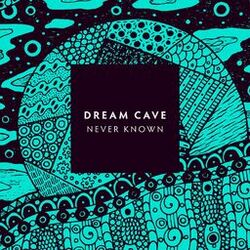 Cover of Never Known