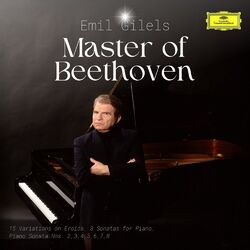 Cover of Master of Beethoven