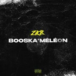 Cover of Booska'méléon