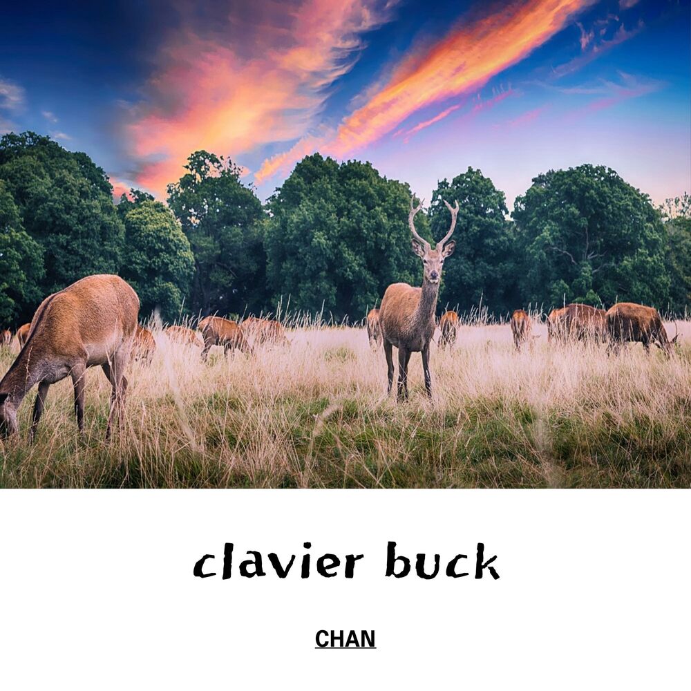 Picture of clavier buck