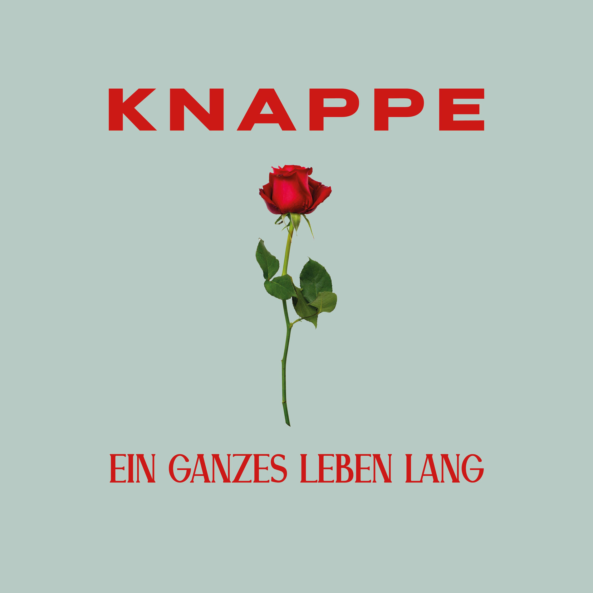 Album cover of Ein ganzes Leben lang