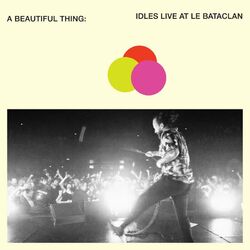 Cover of A Beautiful Thing: IDLES Live at Le Bataclan