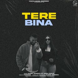Cover of Tere Bina