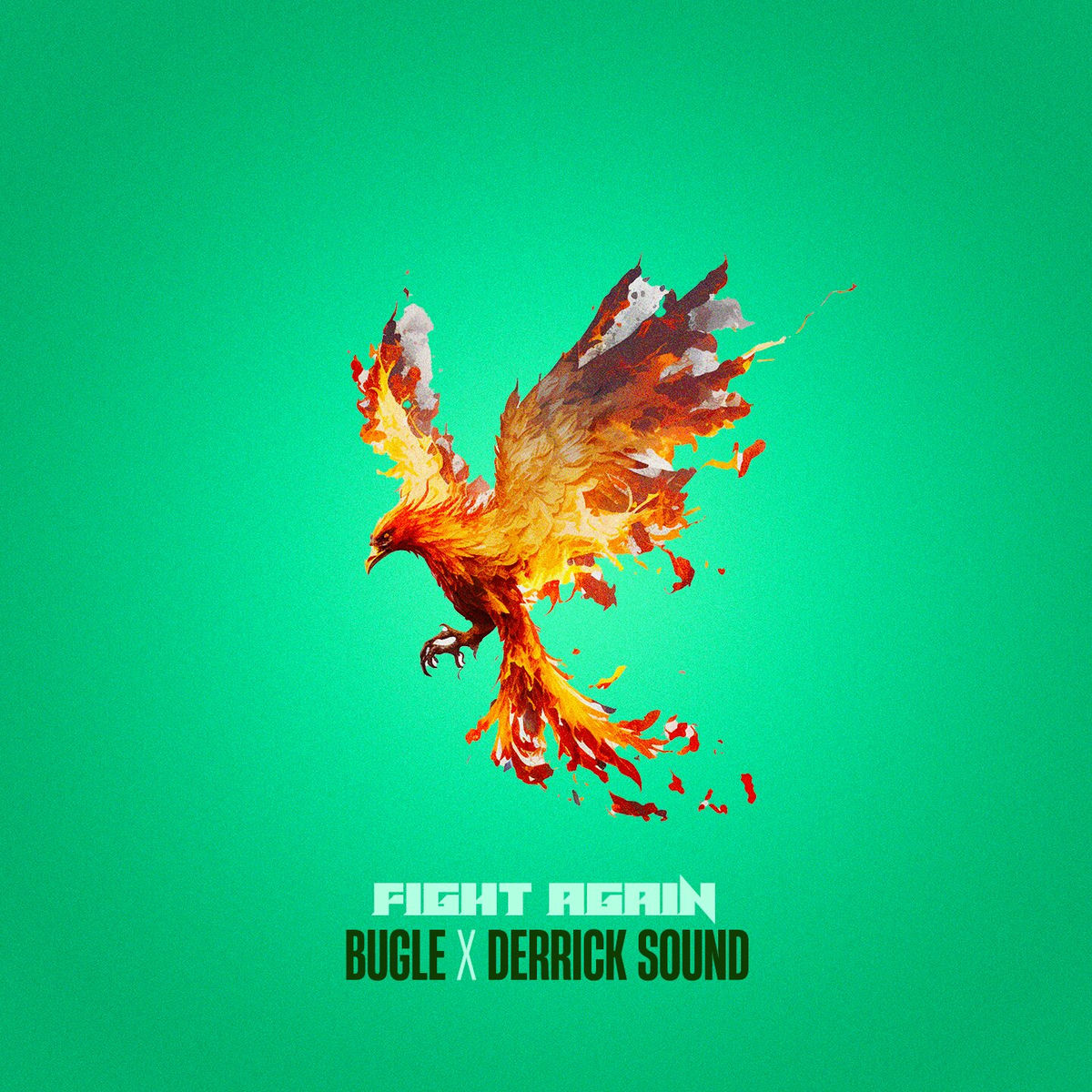 Album cover of Fight Again