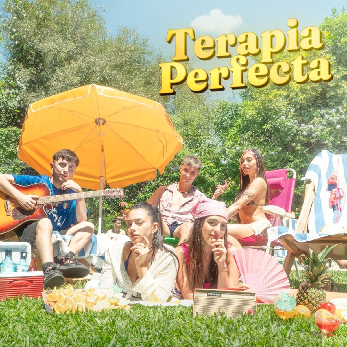 Album cover of TERAPIA PERFECTA