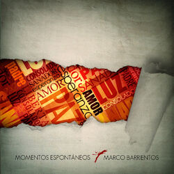 Cover of Momentos Espontaneos