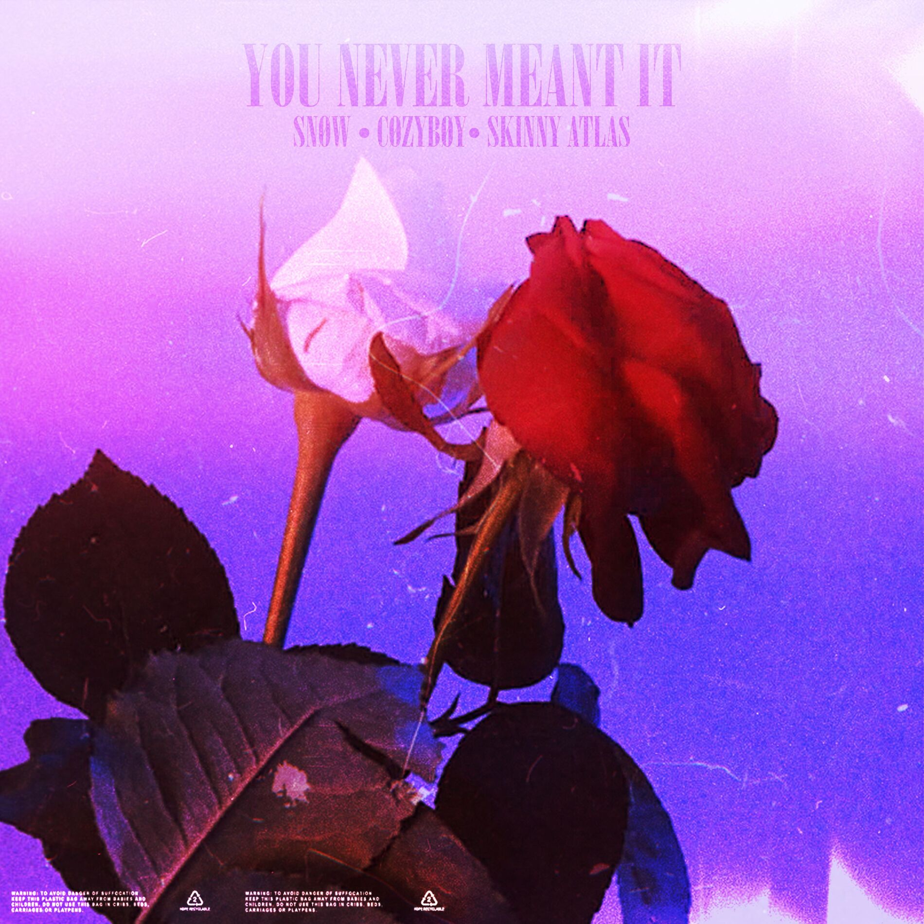 Album cover of you never meant it