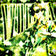 VIDA (Ultra Slowed)