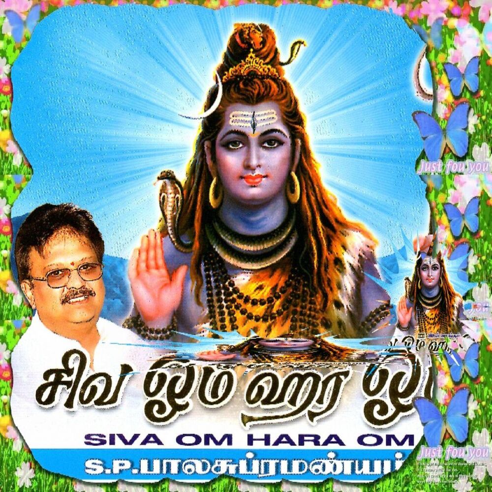 Picture of Siva Om Hara Om