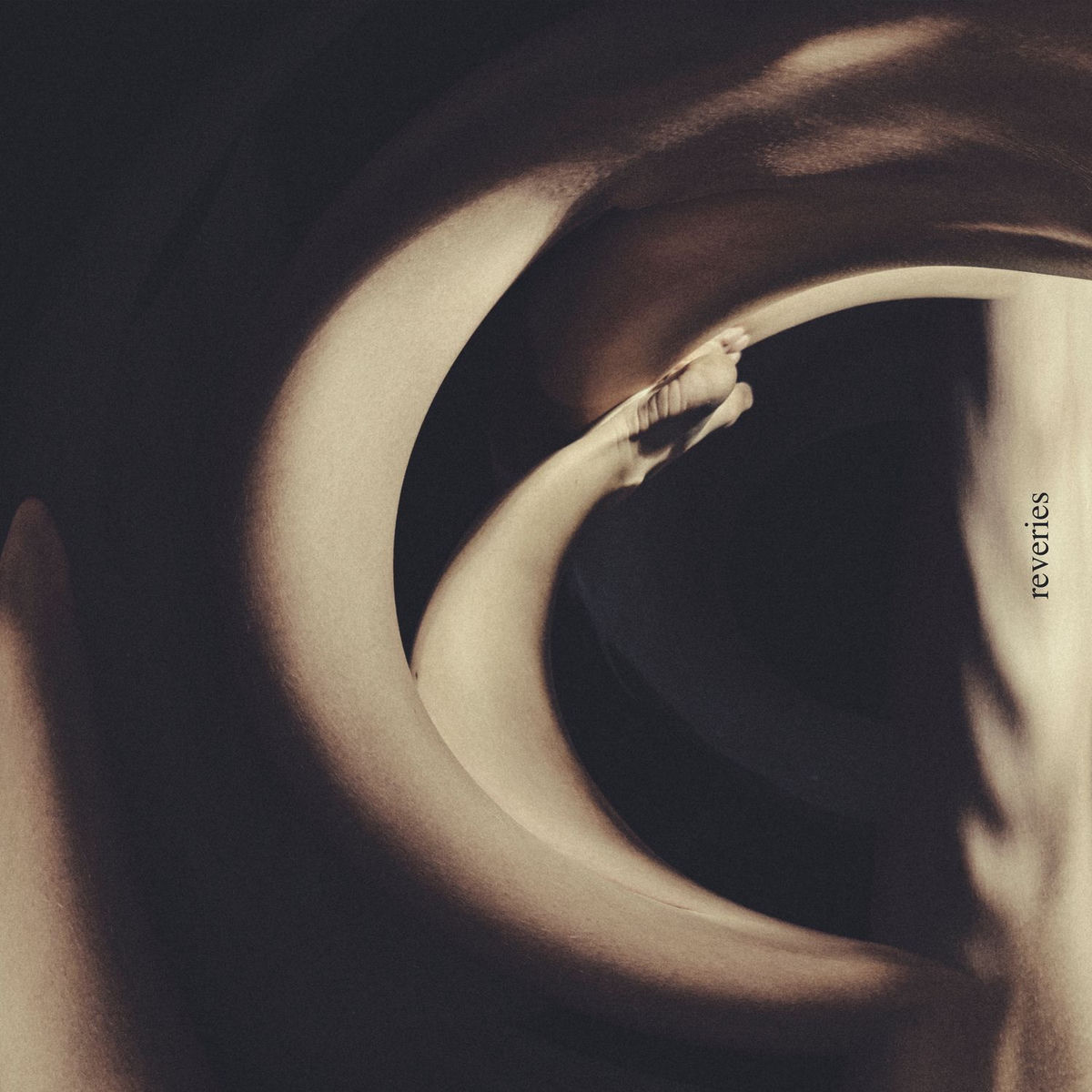 Album cover of reveries feat. Caskets