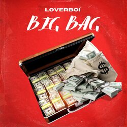 Cover of Big Bag